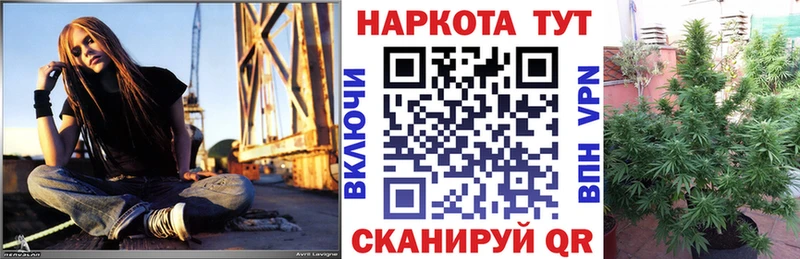 Наркошоп Удомля Cocaine  Меф мяу мяу  Метадон  ГАШИШ  Alpha-PVP 