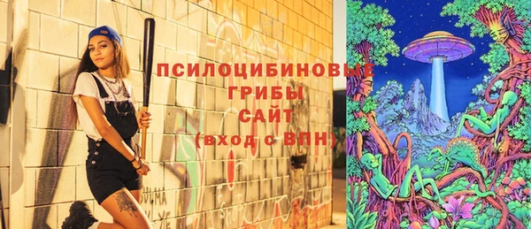 соль ск Няндома