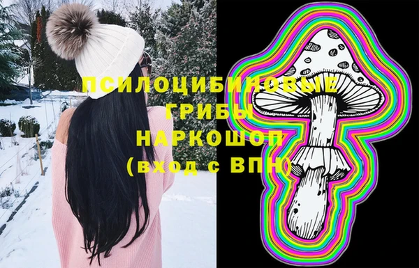 прущие крисы Абаза