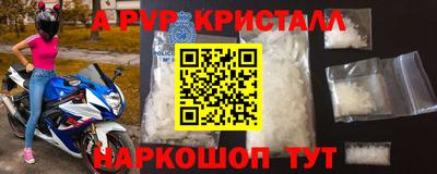 тгк Новозыбков