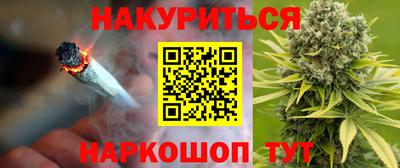 тгк Новозыбков