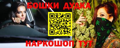 a pvp Новодвинск