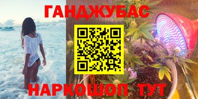 тгк Новозыбков