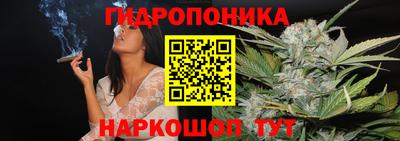 a pvp Новодвинск