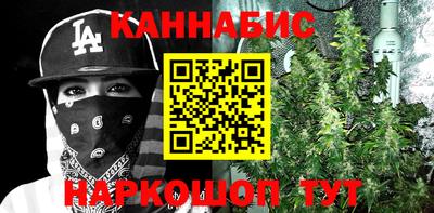 дмт Новокубанск