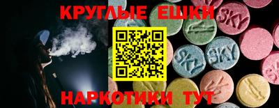 a pvp Новодвинск