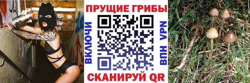Галлюциногенные грибы ЛСД  даркнет какой сайт  Удомля 