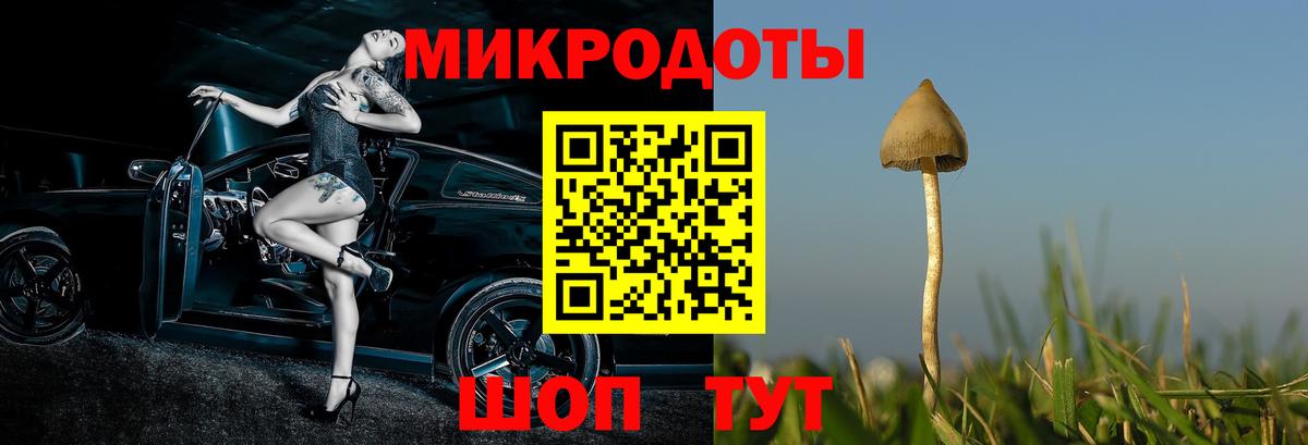 Псилоцибиновые грибы мицелий  Вход с VPN  Удомля 