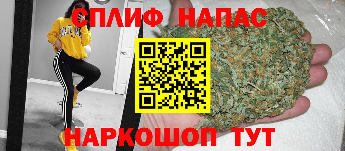 Марихуана план  Канабис сатива  Вход с VPN  Удомля 